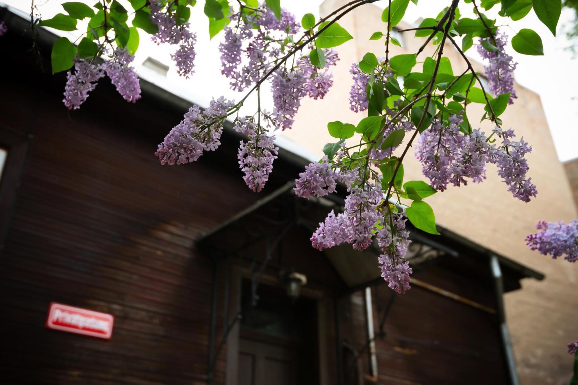 In The Heart Of Brīvdienu mājas